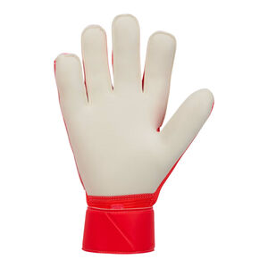 Nike Goalkeeper Gloves